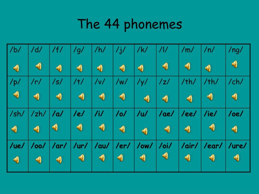 a table showing the 44 phonmemes in the english language